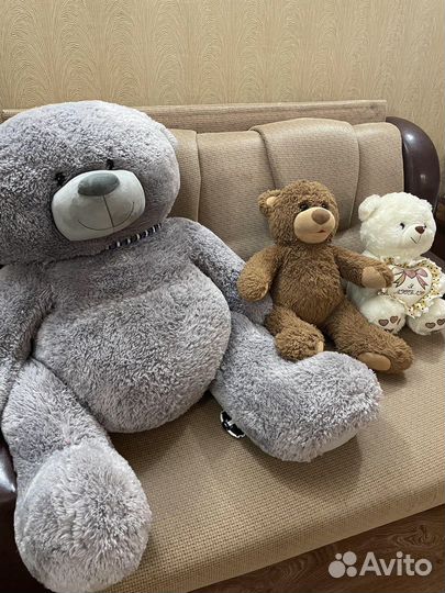 Мишка Тедди