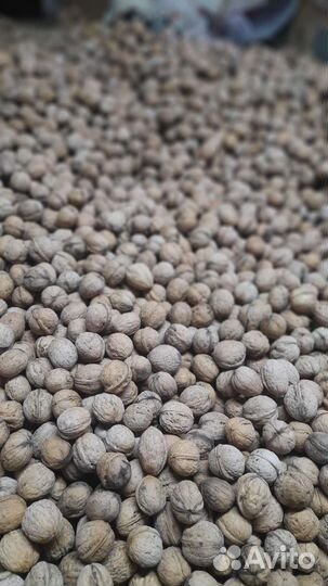 Грецкий орех и фундук