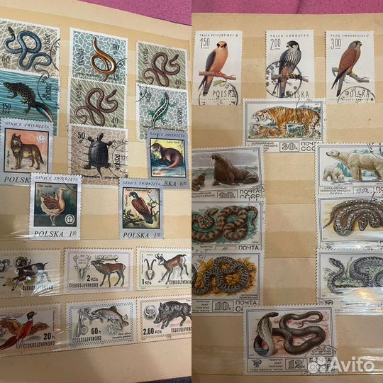 Альбом с почтовыми марками