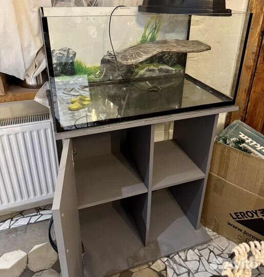 Аквариум / террариум