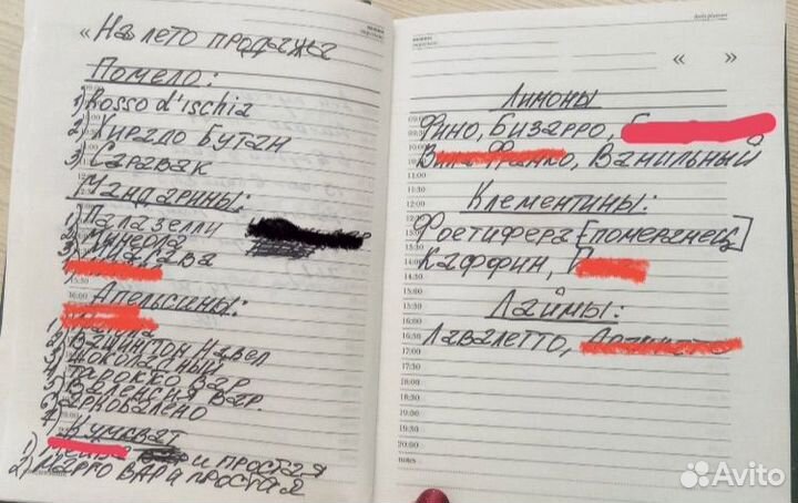 Лимоны, апельсины, мандарины, помело, клементины