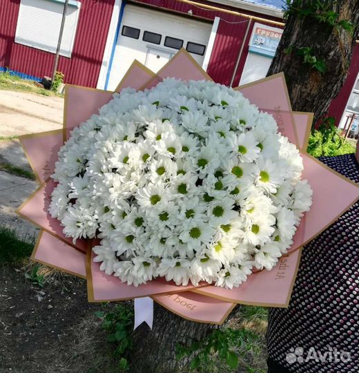 Хризантема кустовая букеты