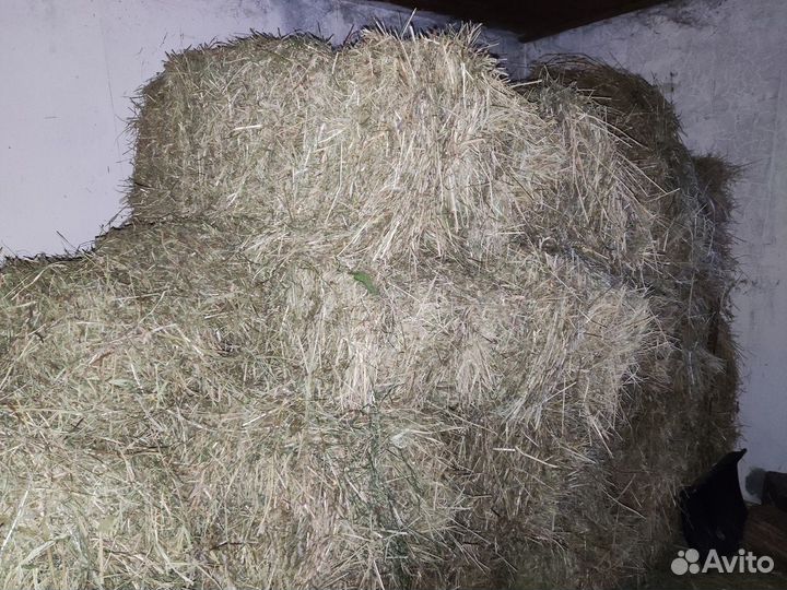 Сено в тюках