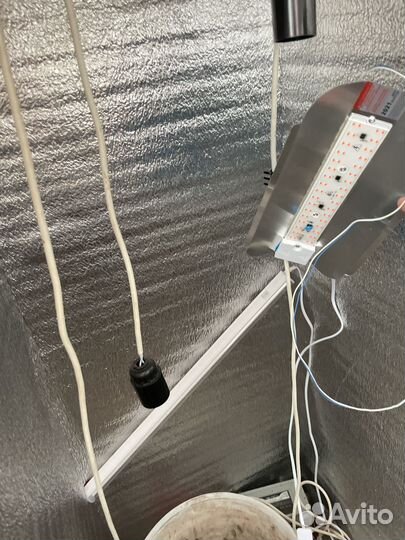 Бокс для растений