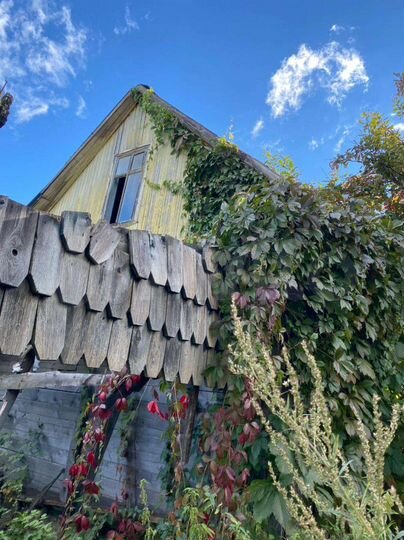 Участок 10 сот. (СНТ, ДНП)