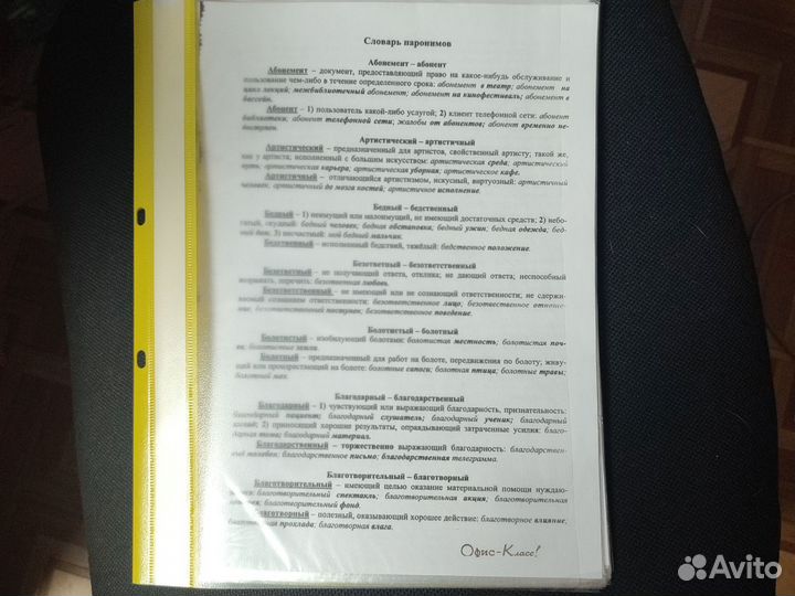 Словарь паронимов