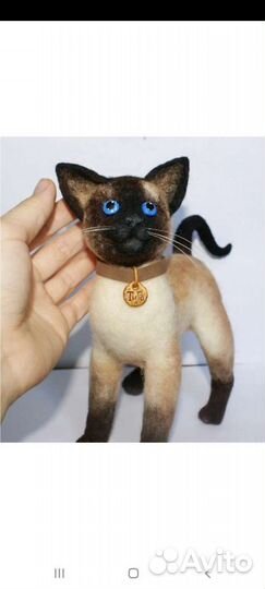 Кошачии усы