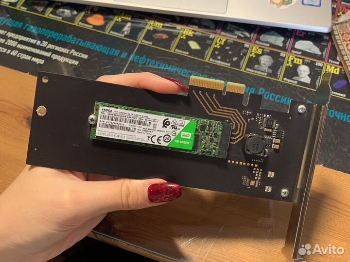 Твердотельный накопитель WD Green /blue