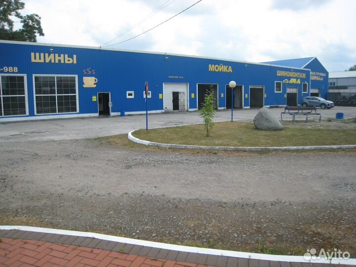 Maxxis ArcticTrekker NP3 195/65 R15