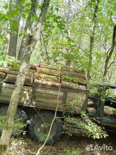 Дрова дубовые