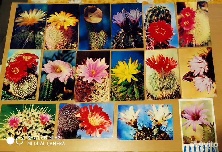 Открытки СССР