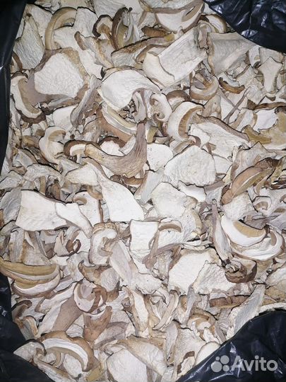 Белый гриб сушеный