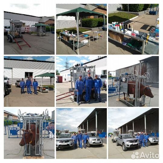 Специалист на предприятие