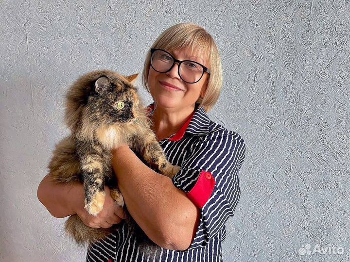 Передержка, домашняя зоогостиница, зооняня