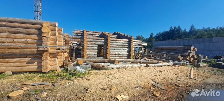 Дома и бани из полярной сосны Кело