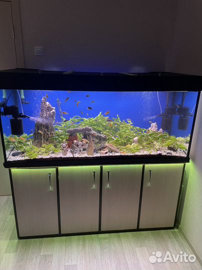 Аквариум под ключ 544л