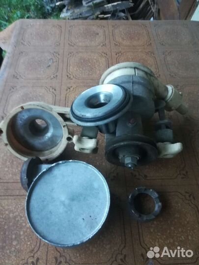 Животноводство