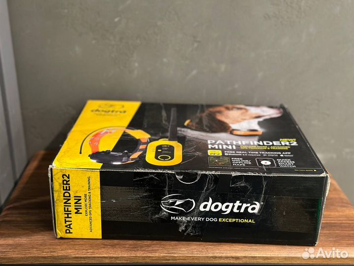 Dogtra Pathfinder 2 mini