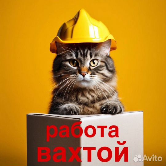 Дорожный рабочий вахта в Крым г Инкерман