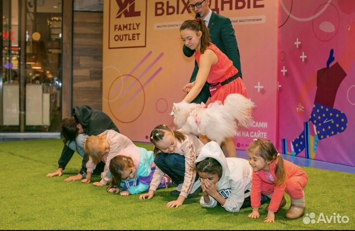 Шоу дрессированных собак на ваши праздники