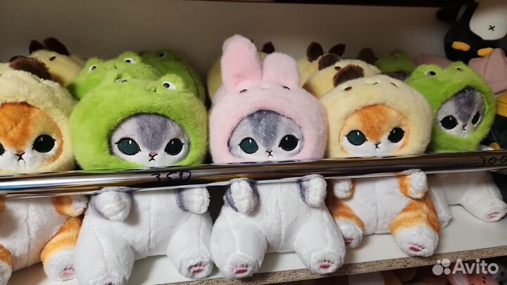 Котята малышата