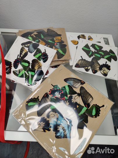 Крылья бабочек