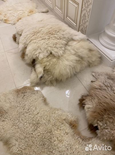 Шкура овечья