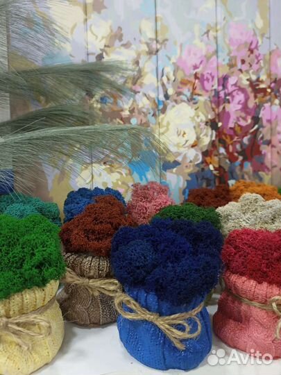 Гипсовый мешочек со стабилизированным мхом