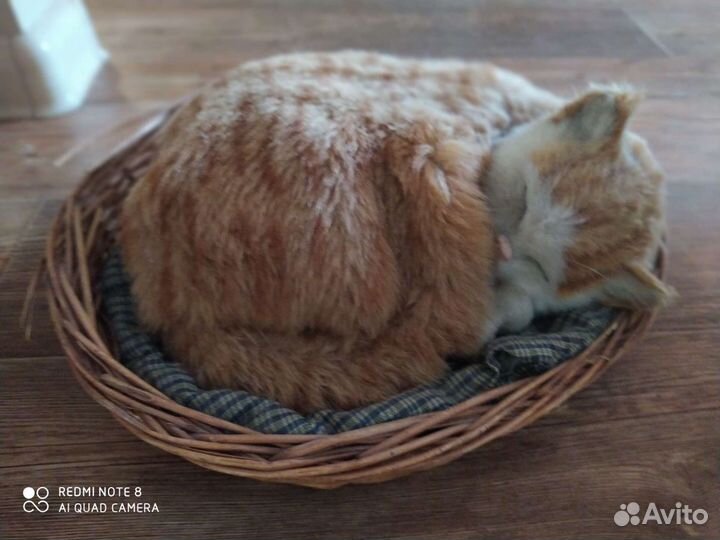 Кошки интерьерные, вазы