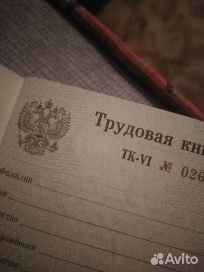 Поштучно ТК-6 трудовые книжки Гознак официальные