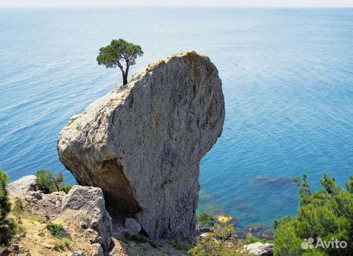 Тур путевка в Респ. Крым 5 ночей за 1-го человека