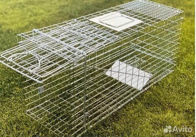 Клетка кошколовка Аренда