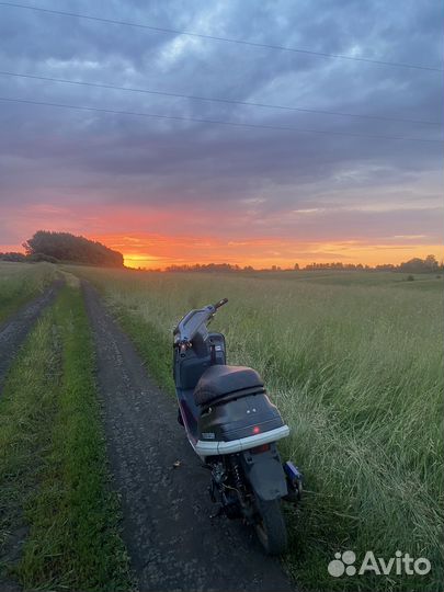 Хонда такт 24