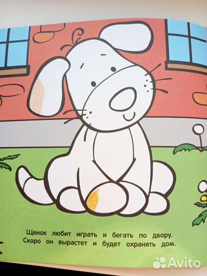 Раскраска пальчиковая