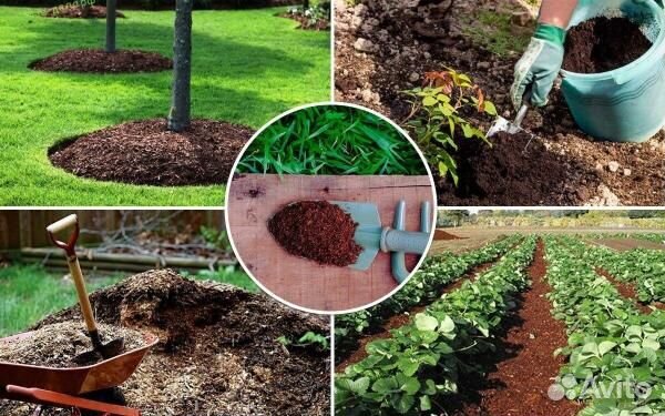 Грунт плодородная земля