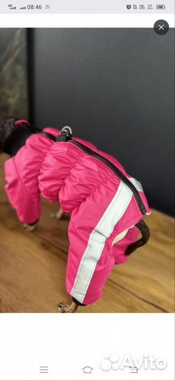 Комбинезон для маленькой собаки девочки