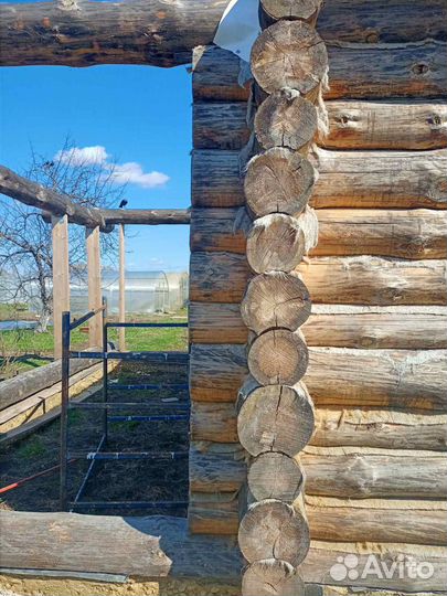 Сруб дома из бревна