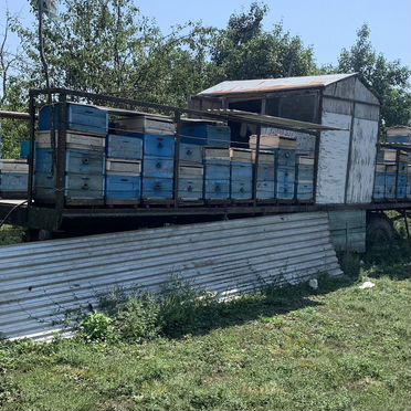 Пчелопавильон