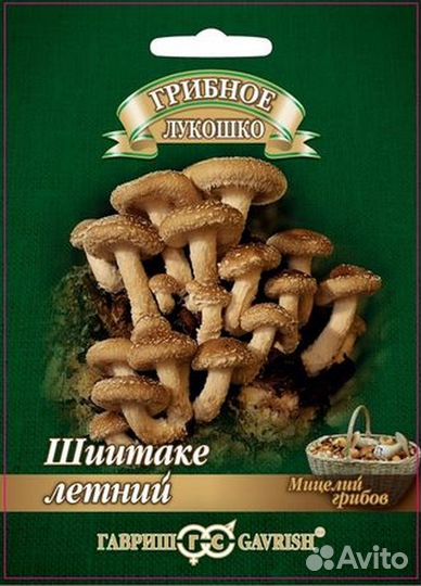 Мицелий грибов