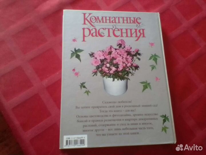 Комнатные растения (книга)