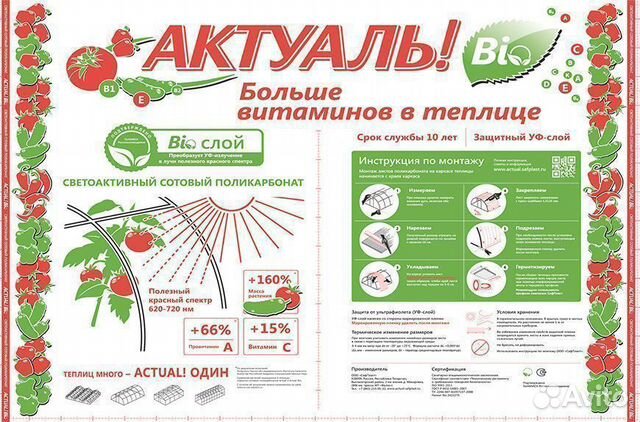 Поликарбонат актуаль BIO купить в Челябинске | Товары для дома и дачи ...