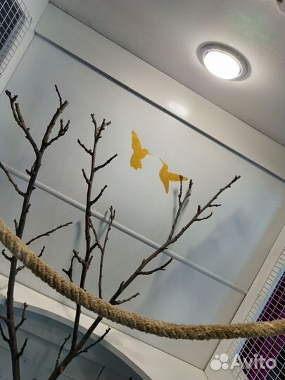 Большая клетка для птиц