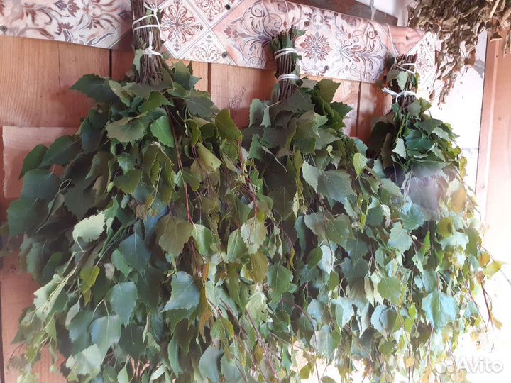 Березовые веники