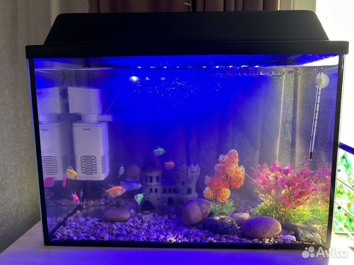 Аквариум