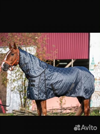 Попона денниковая