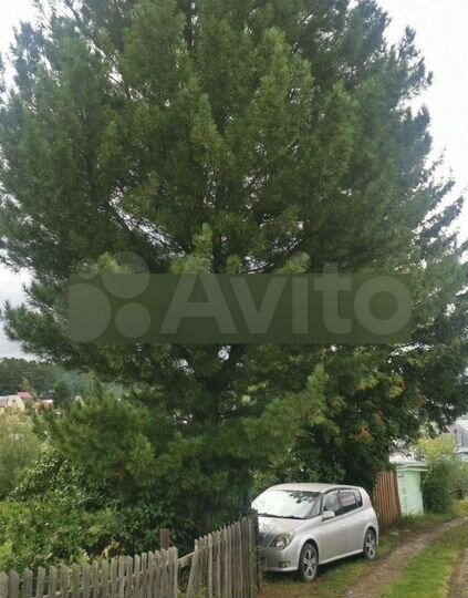 Дача 22 м² на участке 9,6 сот.