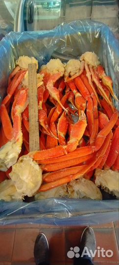 Конечности краба стригуна