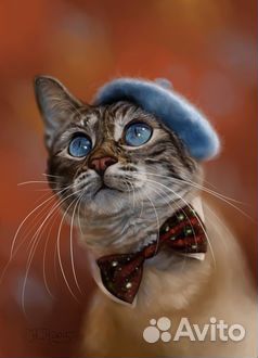 Онлайн-репетитор французского и английского языка