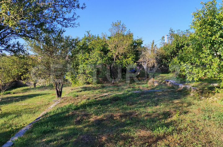 Участок 4,31 га (СНТ, ДНП)