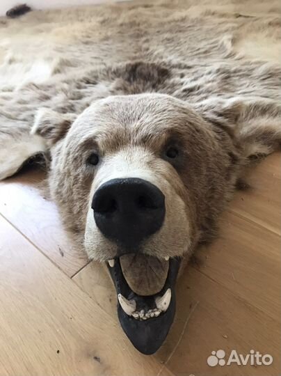 Шкура медведя имитация